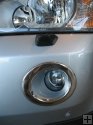 Fog Light Surrounds STAINLESS STEEL