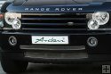 Arden Stainless Steel Front Grille until 2005 (2 parts chromed)